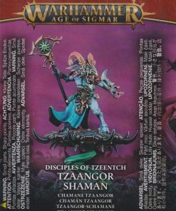 TZEENTCH ARCANITES TZAANGOR SHAMAN