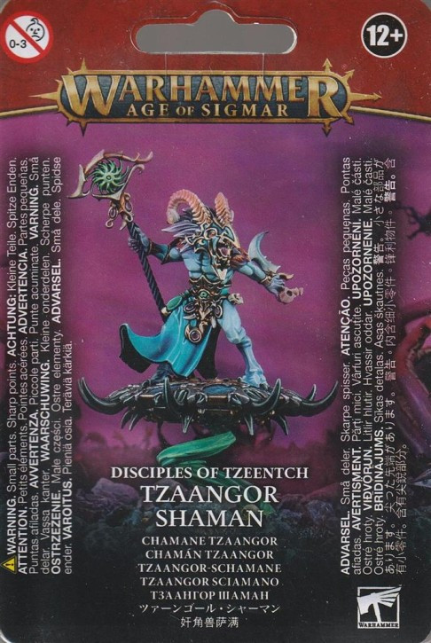 TZEENTCH ARCANITES TZAANGOR SHAMAN