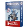 BLOOD BOWL:HIGH ELF TEAM REFERENCE CARDS